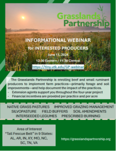 Cover photo for Informational Webinar - Climate Smart Grasslands Partnership